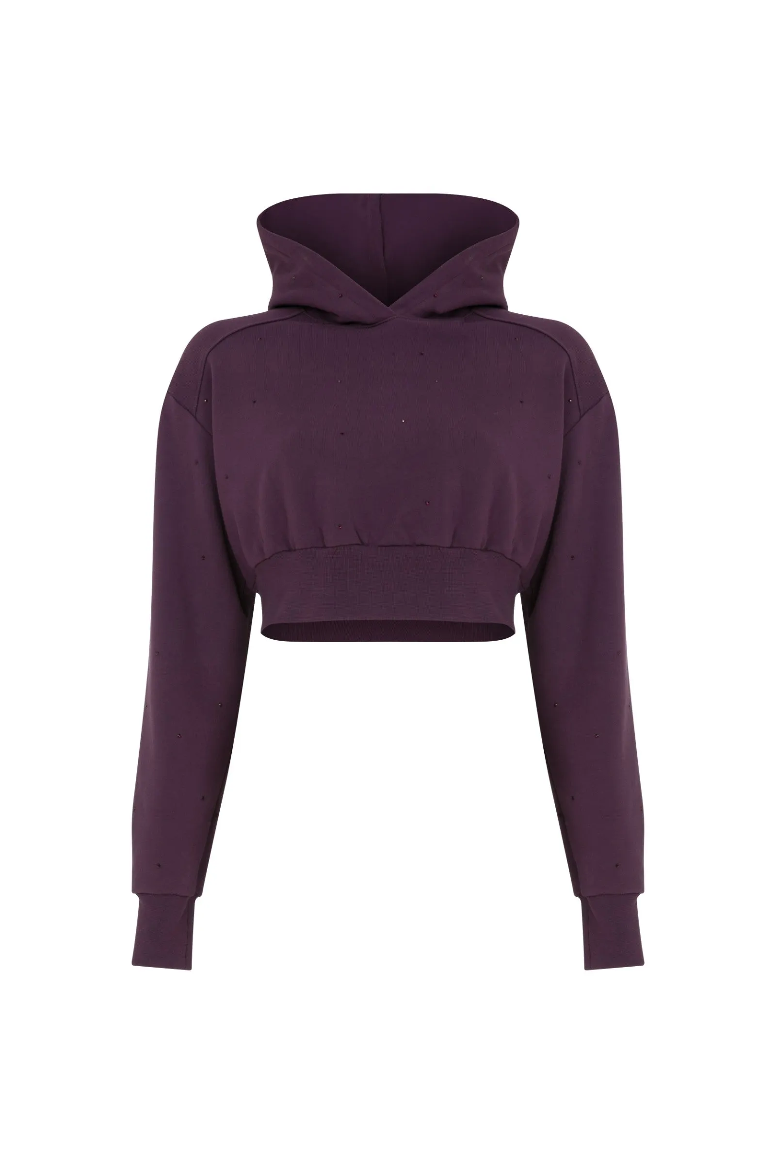 Felix Rhinestone Cropped Hoodie