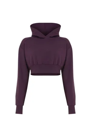 Felix Rhinestone Cropped Hoodie