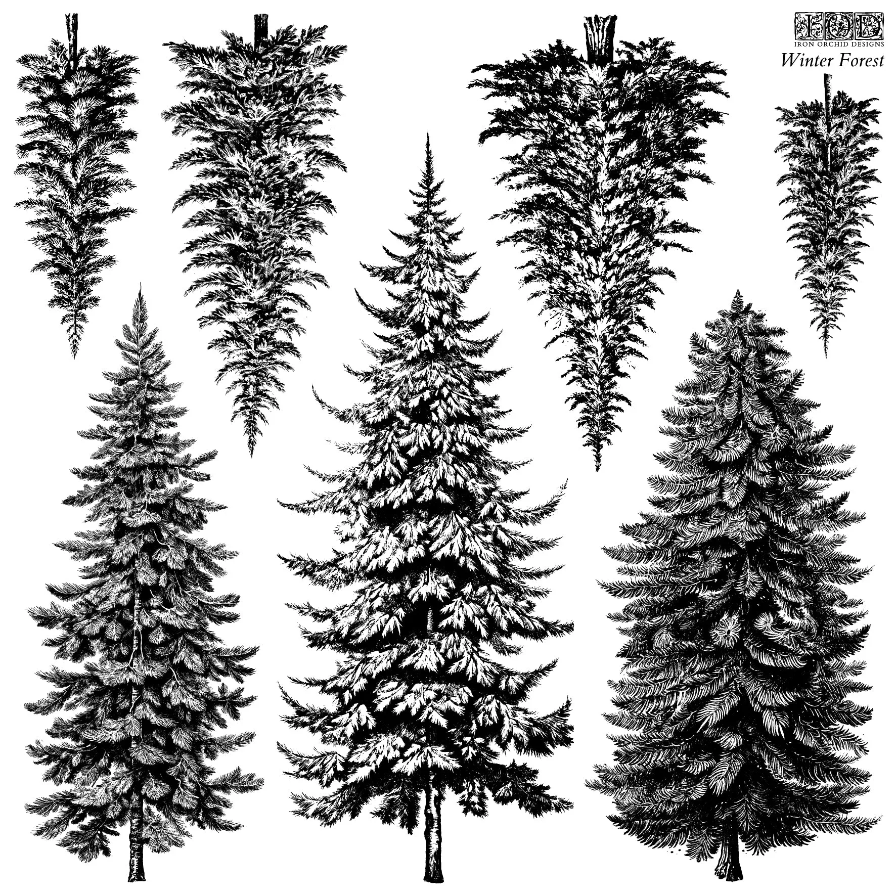 IOD  Winter Forest 12x12