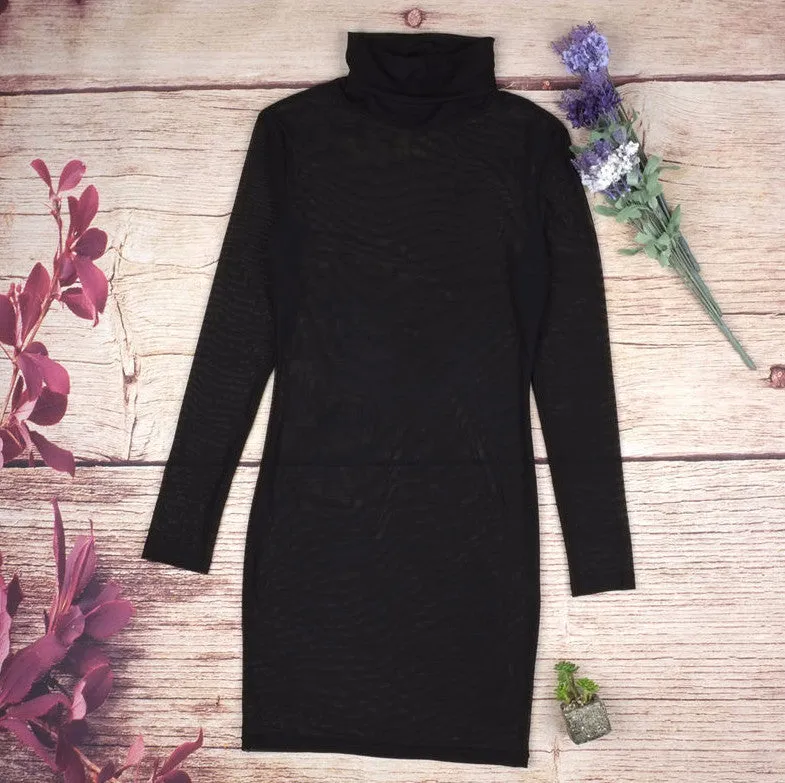 Long Sleeved Bodycon Mesh Dress